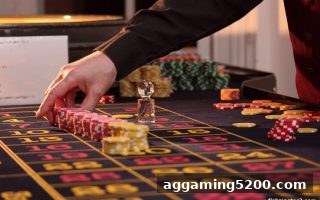 真人桌游协作秘籍：如何像捕鱼达人2团队那样高效配合
