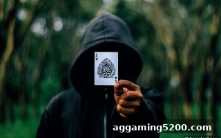 ICM模型全面解读：捕鱼达人2助你掌握锦标赛胜率密码