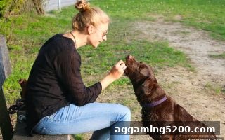 捕鱼达人2揭秘：马耳他牌照代理返佣的合规规则与高效收益之道