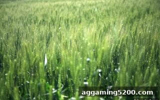 捕鱼达人2玩家进阶：棋牌胜率系统化训练全攻略