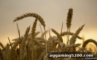 从龙虎游戏到捕鱼达人2：心理洞察、技术策略与风险管控全指南