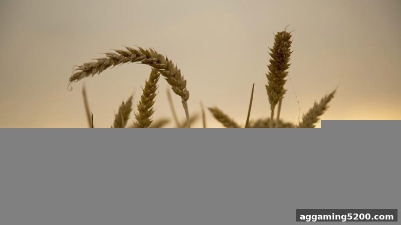 从龙虎游戏到捕鱼达人2：心理洞察、技术策略与风险管控全指南