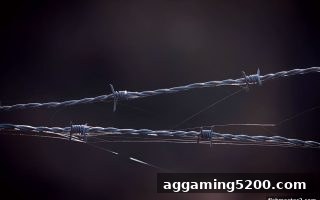 捕鱼达人2玩家必读：全面解析网络威胁与账户安全策略
