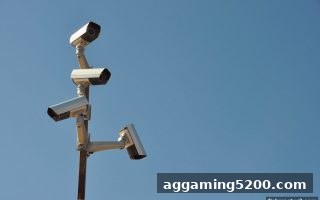 捕鱼达人2带你揭秘：苹果设备上验证娱乐平台真伪的完整攻略